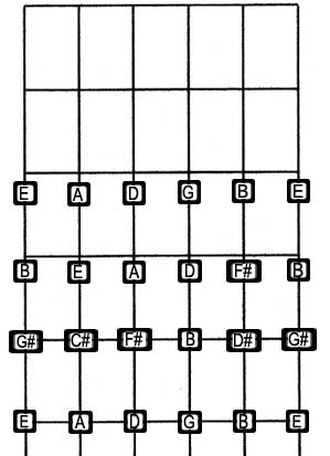 fret box
